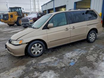  Salvage Honda Odyssey