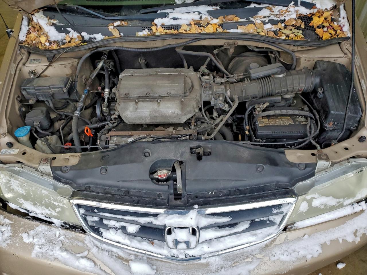 Honda Odyssey Ex Image 6