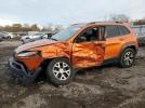 Jeep Cherokee Trailhawk Image 1