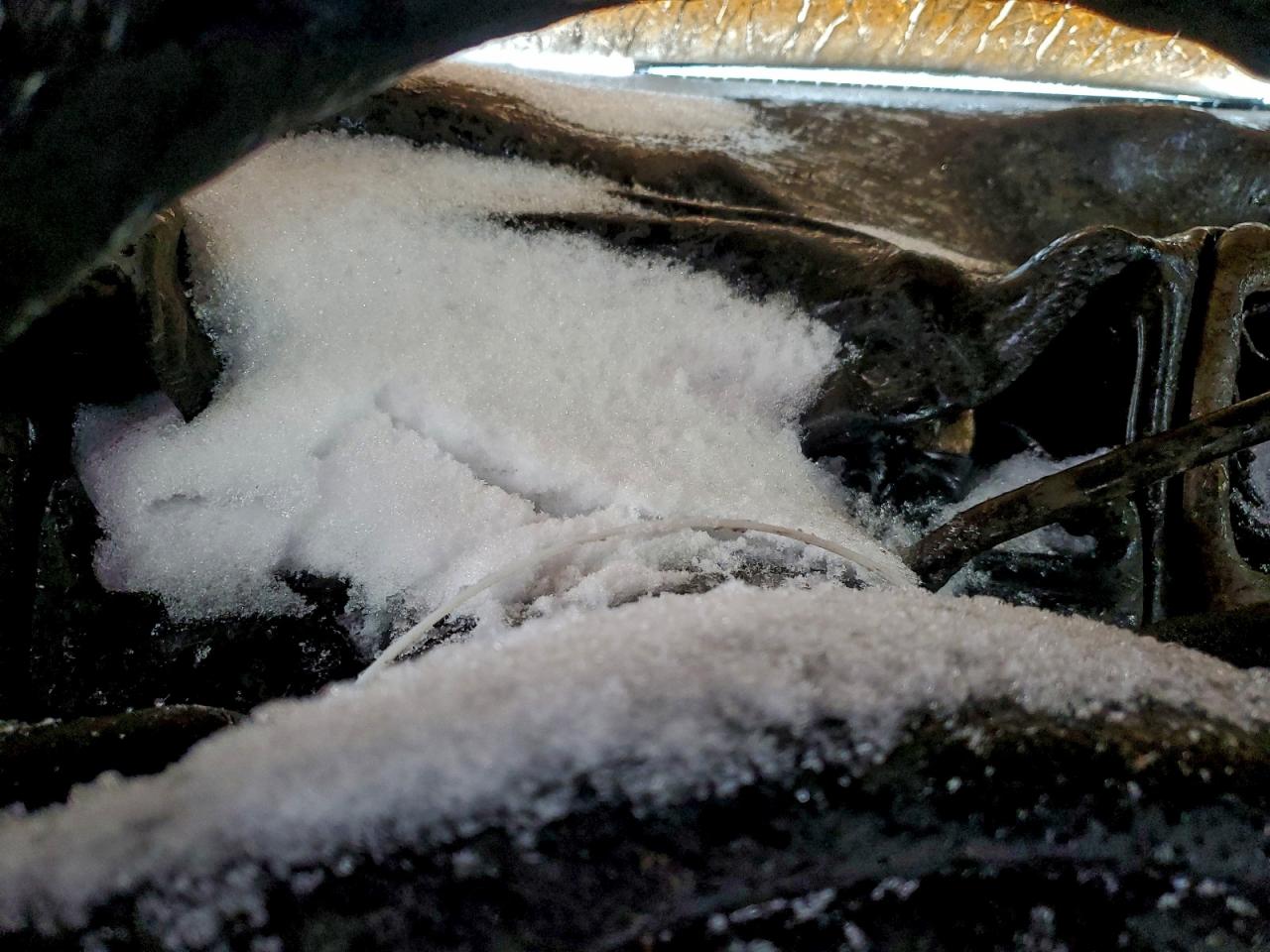 Ford Escape Xlt Image 5