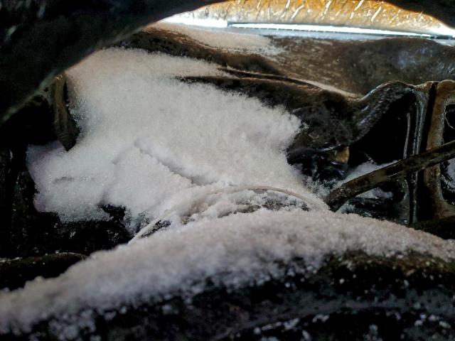 Ford Escape Xlt Image 5