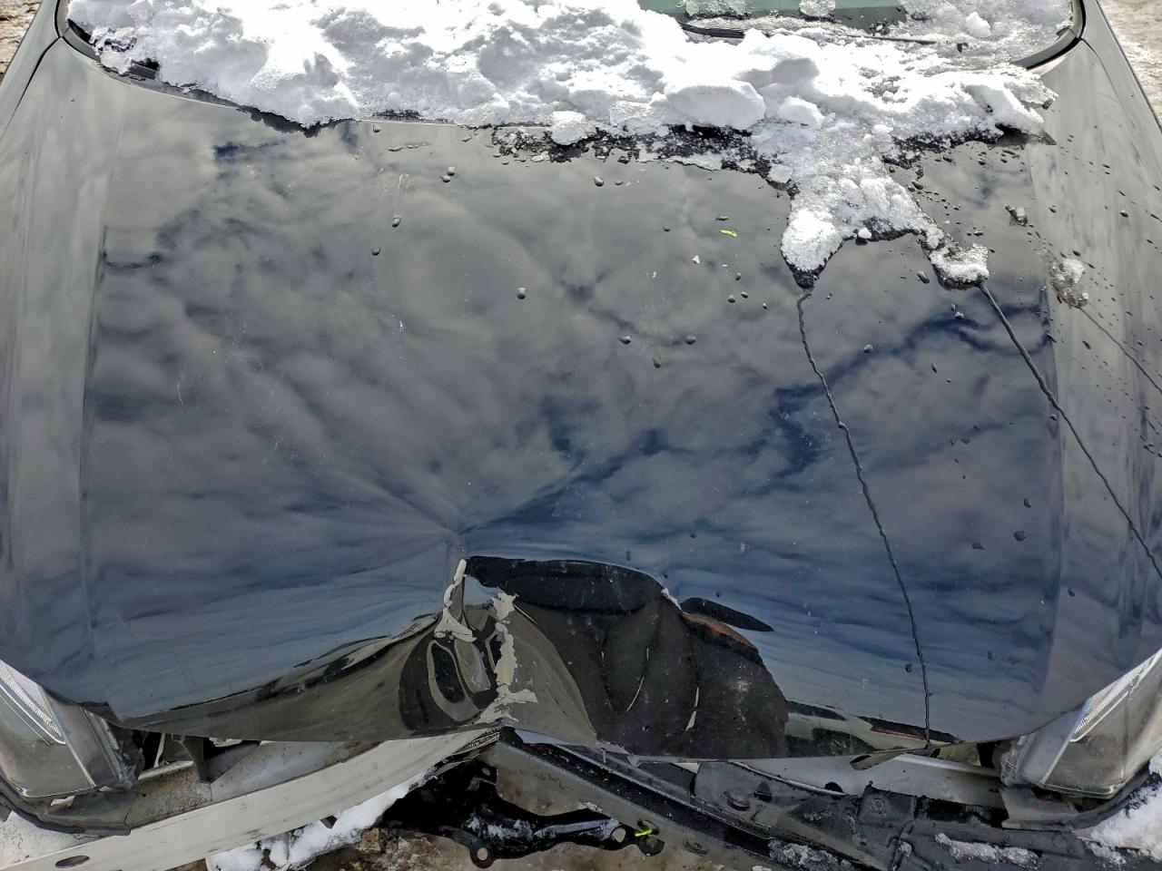 Honda Civic Se Image 12