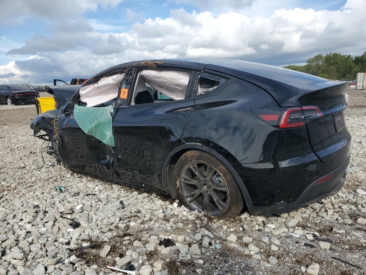 Tesla Model Y Image 2