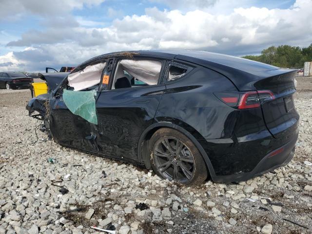 Tesla Model Y Image 2