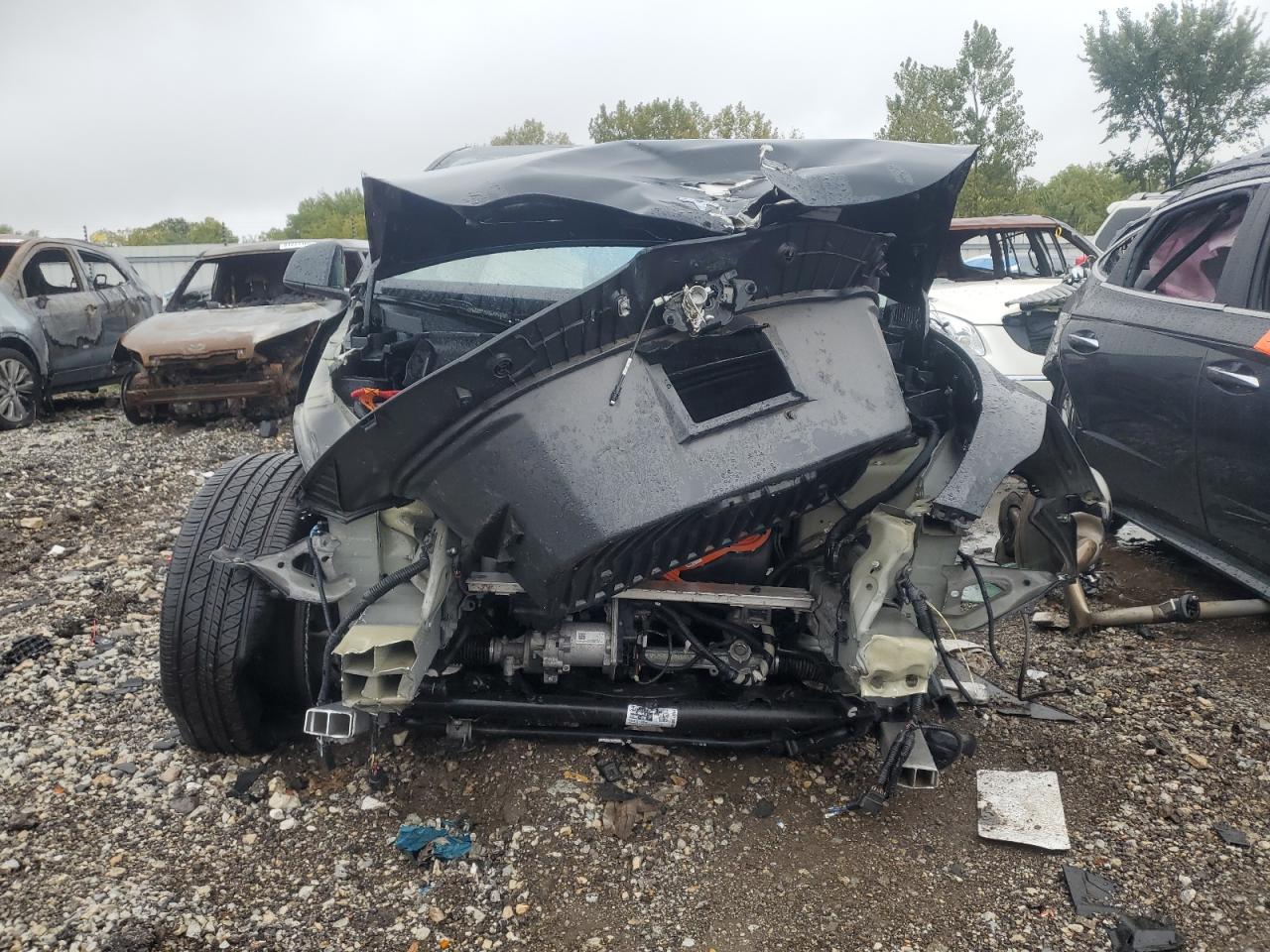 Tesla Model Y Image 5