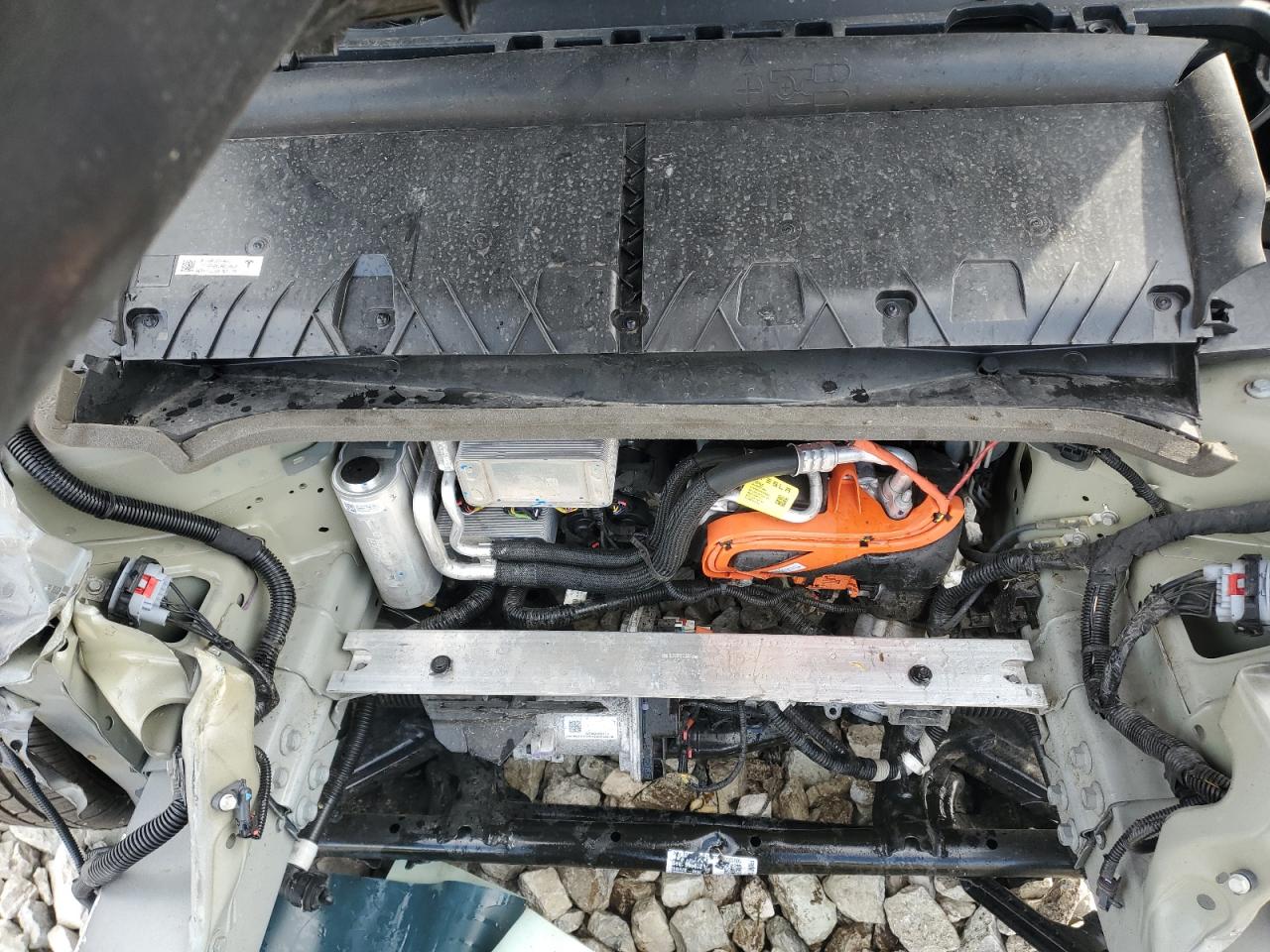 Tesla Model Y Image 3