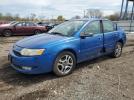 Saturn Ion Level 3 Image 1