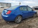 Saturn Ion Level 3 Image 5