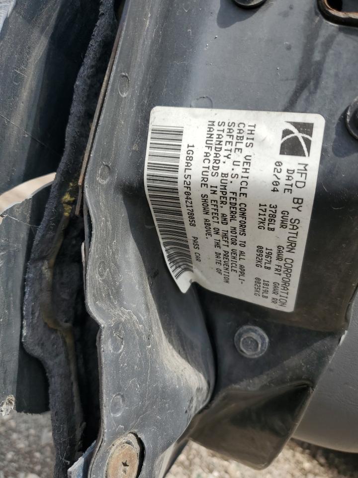 Saturn Ion Level 3 Image 9