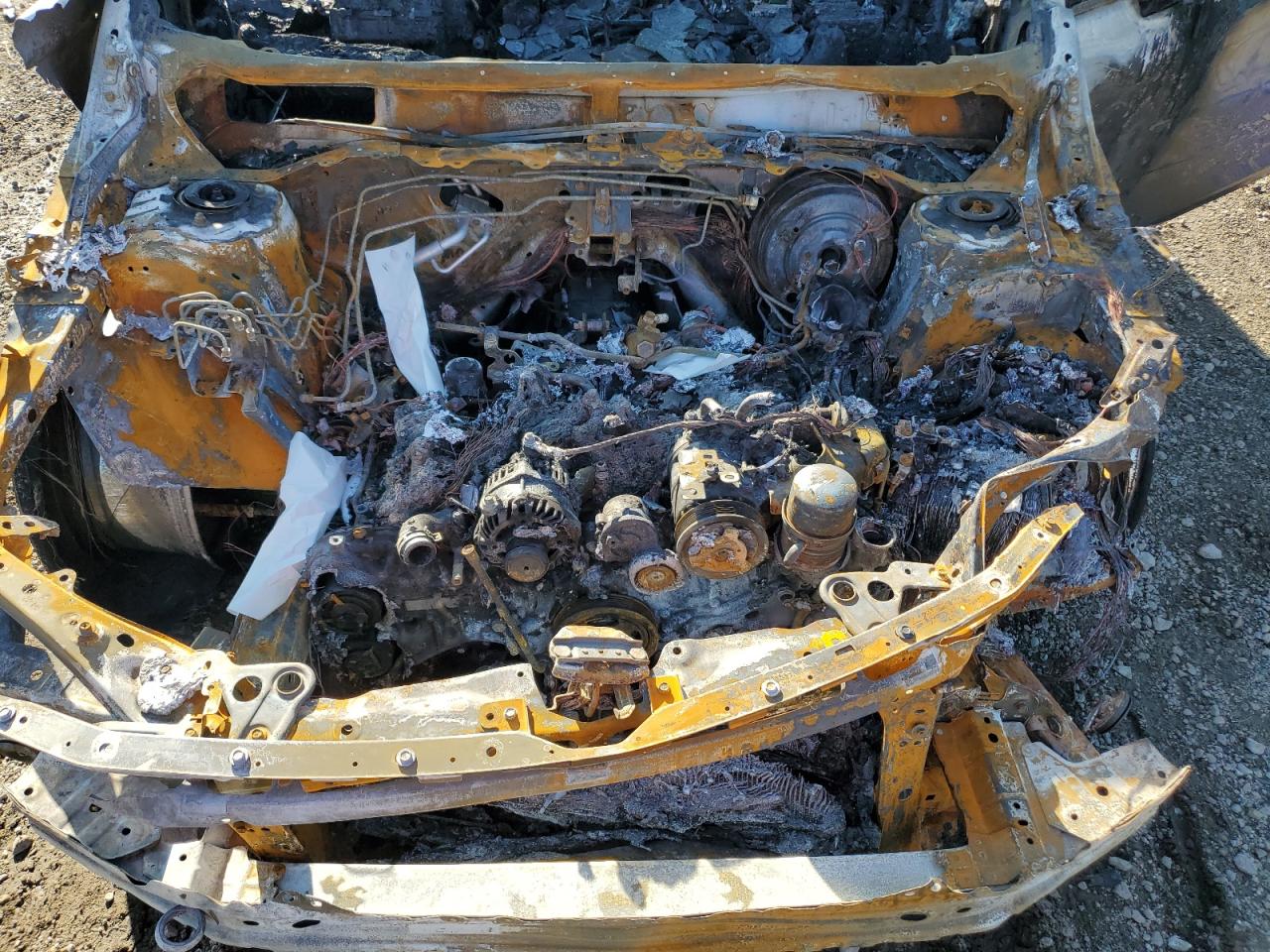 Subaru WRX Premium Image 8