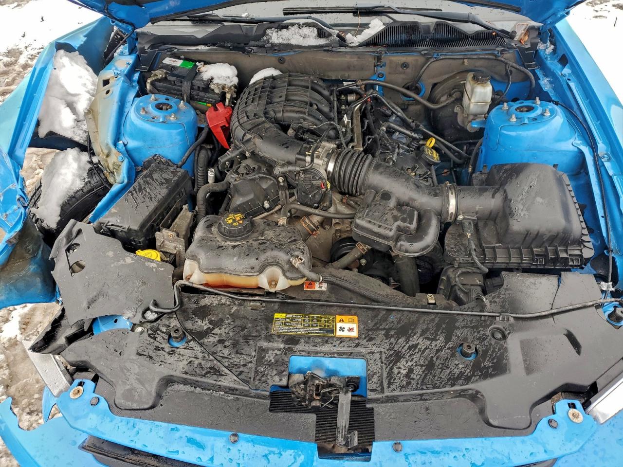 Ford Mustang Image 6