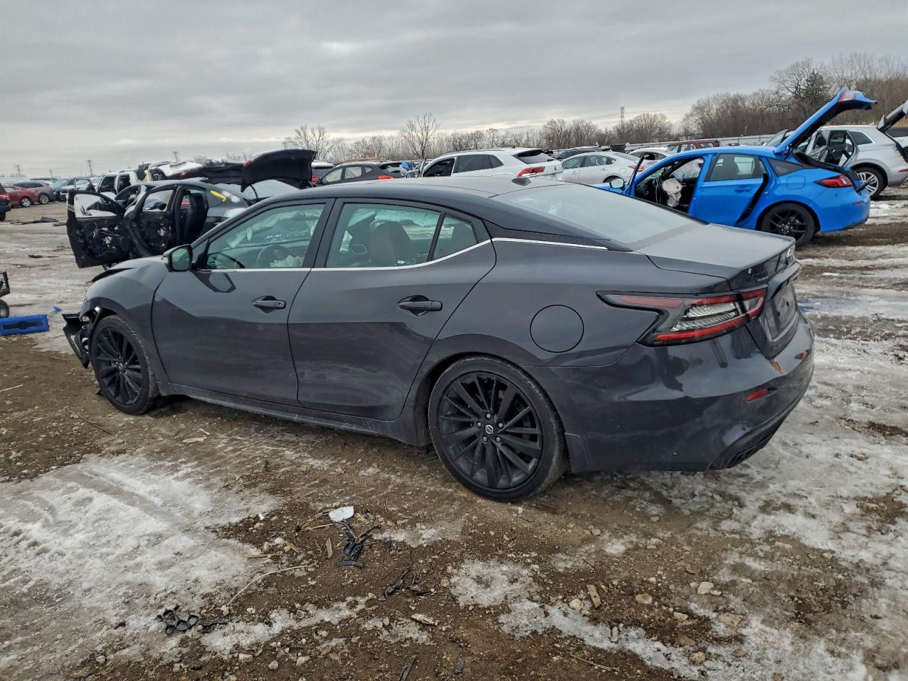 Nissan Maxima Platinum Image 5