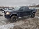 Ford F-150 Image 1