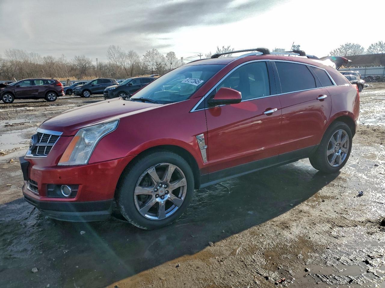 Cadillac SRX Premium Collection Image 1