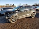 Ford Escape Titanium Image 1