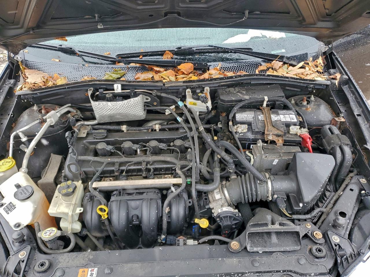 Ford Focus Ses Image 8