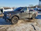 Ford F-150 Image 1