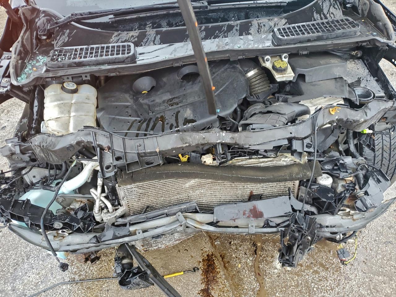 Ford Escape Se Image 14