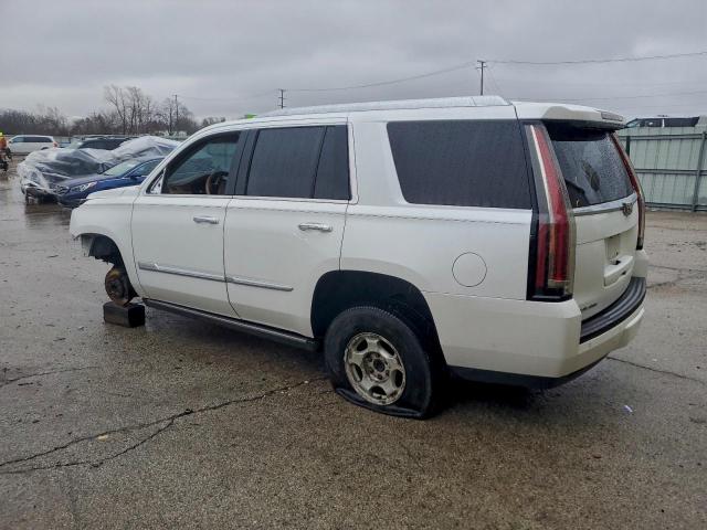 Cadillac Escalade Platinum Image 6