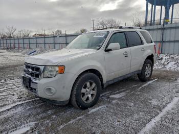  Salvage Ford Escape