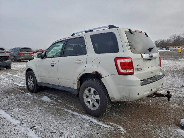 Ford Escape Limited Image 8