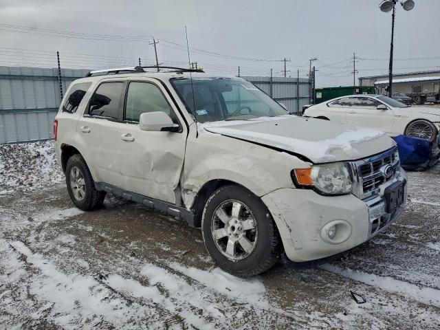 Ford Escape Limited Image 12