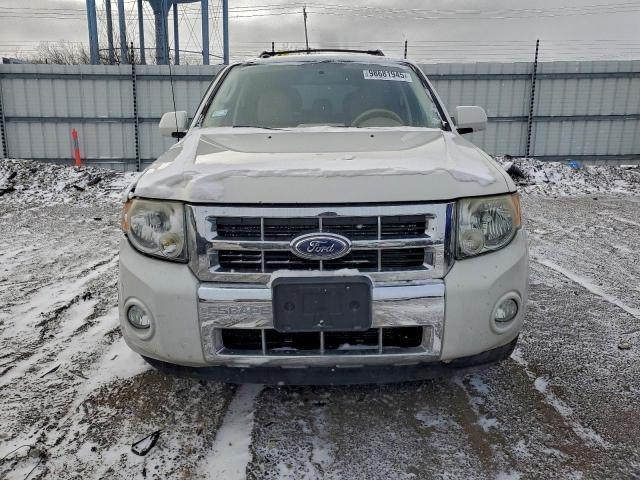 Ford Escape Limited Image 4