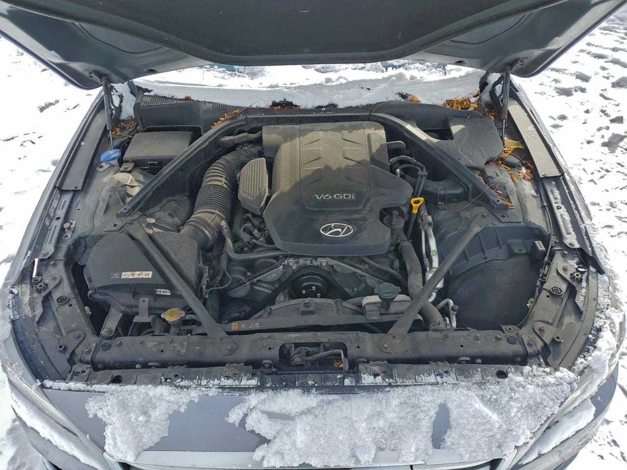 Hyundai Genesis 3.8l Image 6