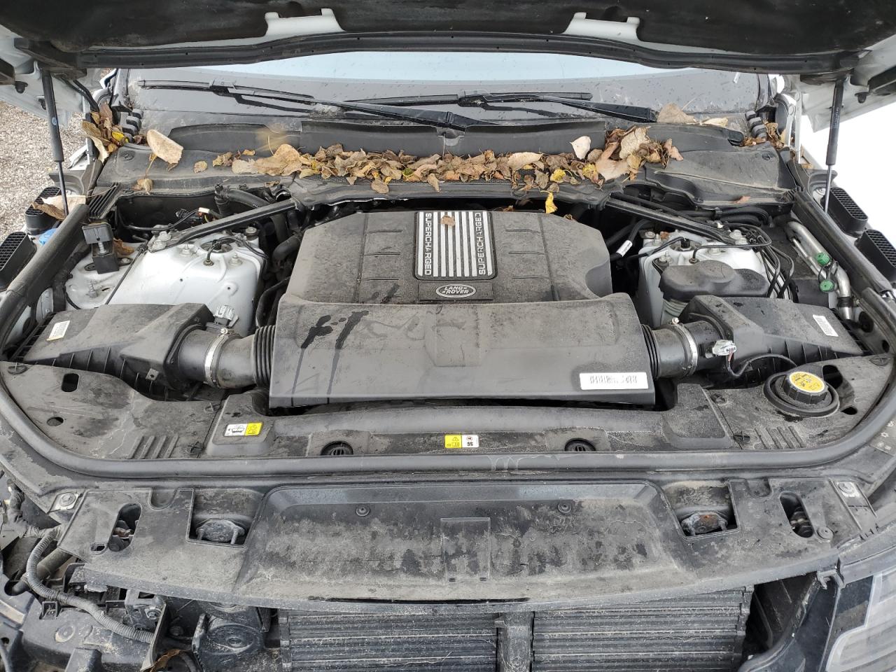 Land Rover Range Rover Supercharged Dynamic Image 7