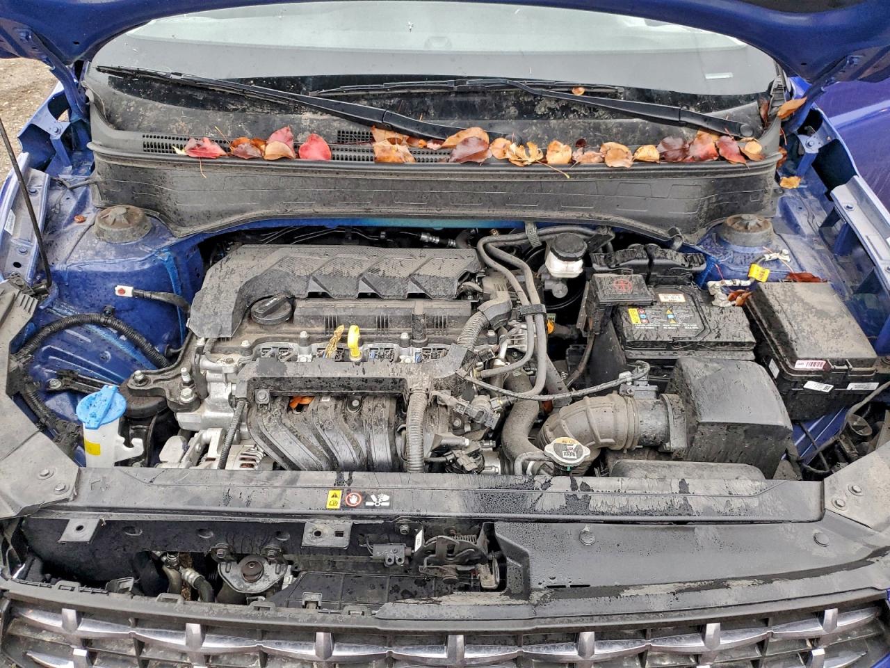 Hyundai VENUE Sel Image 10