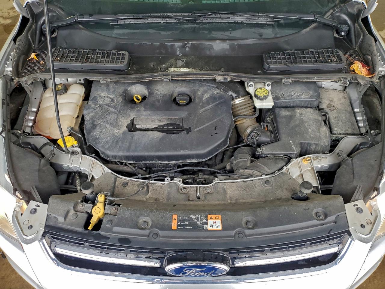 Ford Escape Titanium Image 9