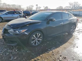  Salvage Nissan Maxima