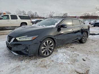  Salvage Nissan Maxima