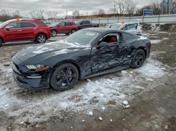  Salvage Ford Mustang