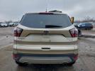 Ford Escape Titanium Image 5