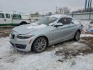 BMW 2 Series Xi Sulev Image 1