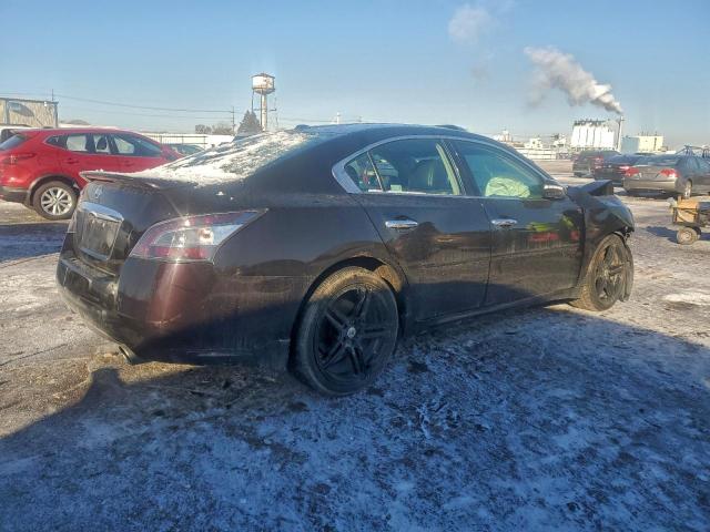 Nissan Maxima S Image 6