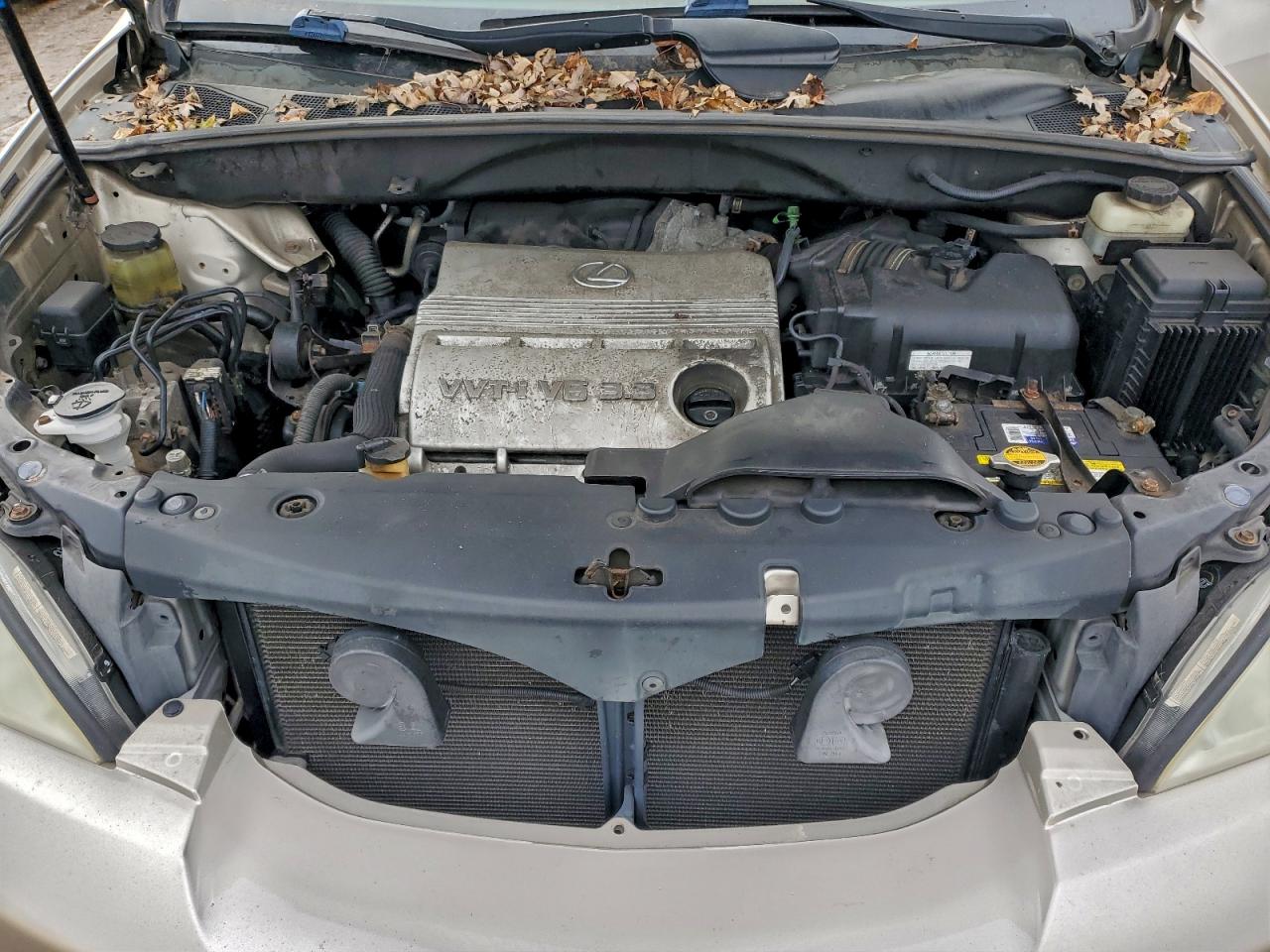 Lexus RX 330 Image 6