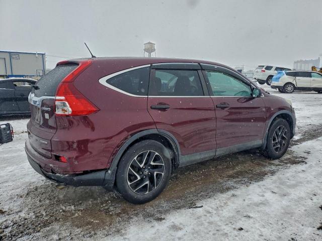 Honda Crv Se Image 6