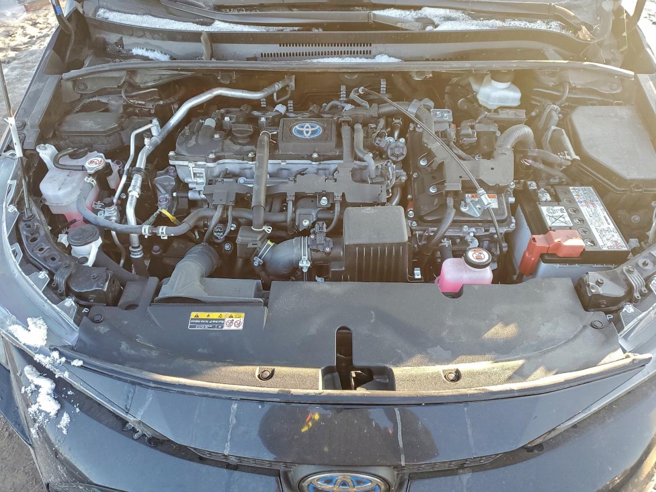 Toyota Corolla Le Image 8