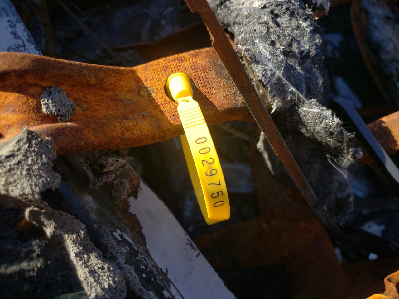 BMW 4 Series Gran Coupe Image 7